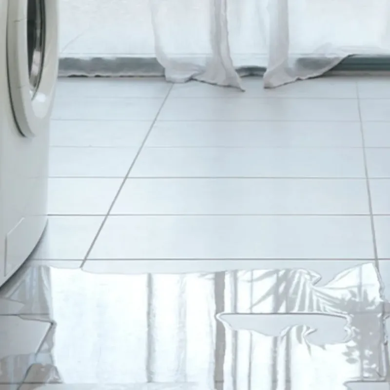 Appliance Leak Cleanup in Northville, NY