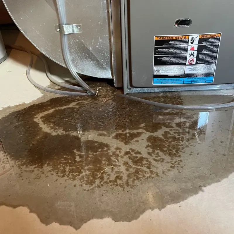Pipe Burst and Leak Restoration in Northville, NY